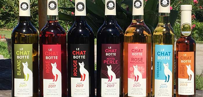 Vins-Le-Chat-Botte