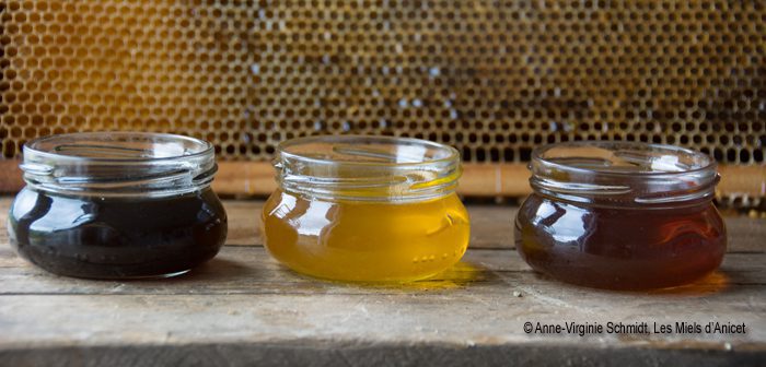 apiculteur-miel-2