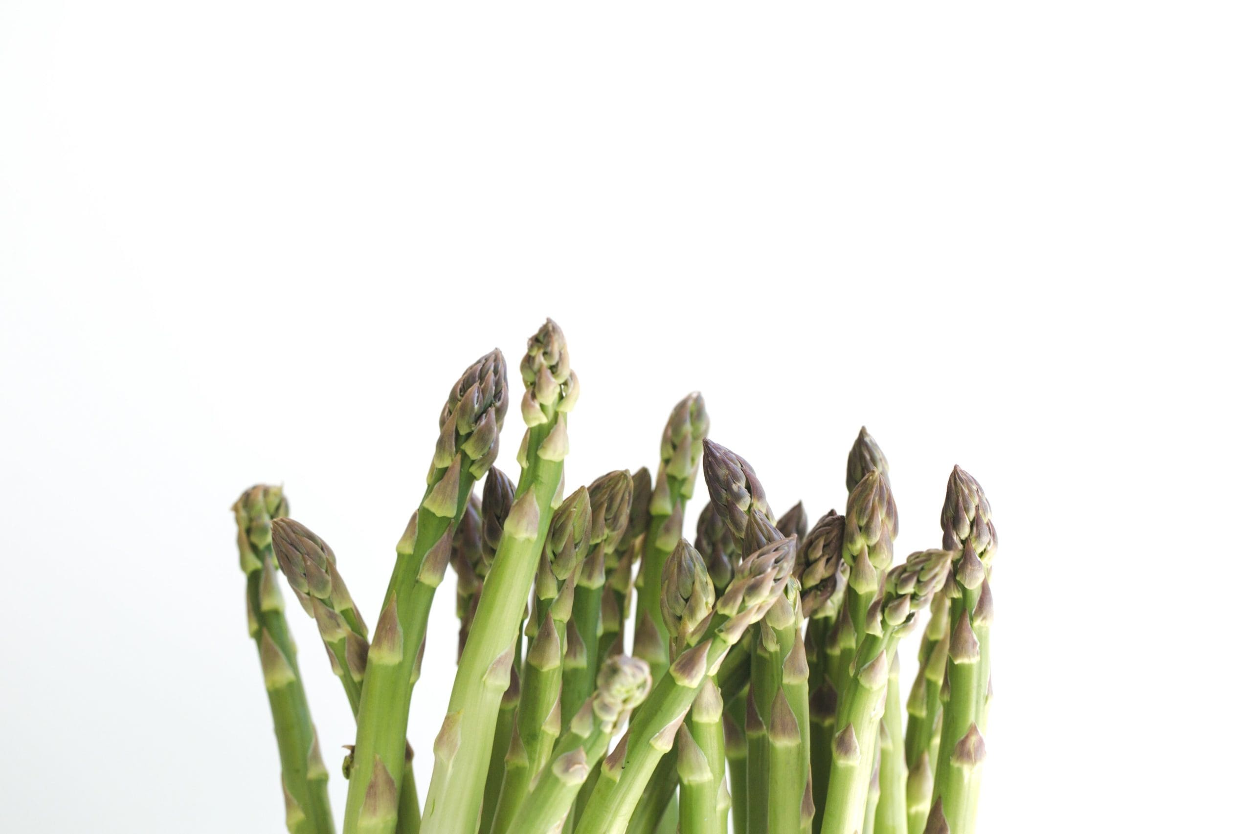 Asperges du Québec