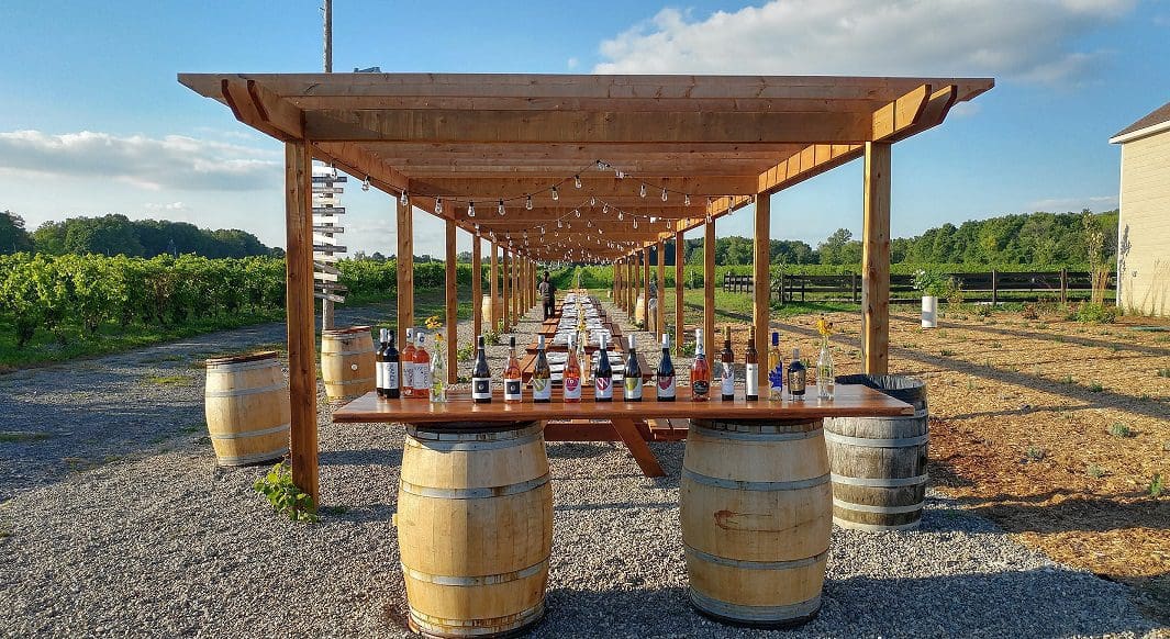 La pergola du Vignoble Rivière du Chêne