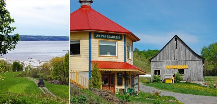 À la découverte de l'agneau de fjord et des saveurs de La Vieille Ferme