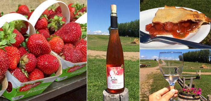 Des fraises, des vins et du bon temps à la Ferme Bourdages Tradition