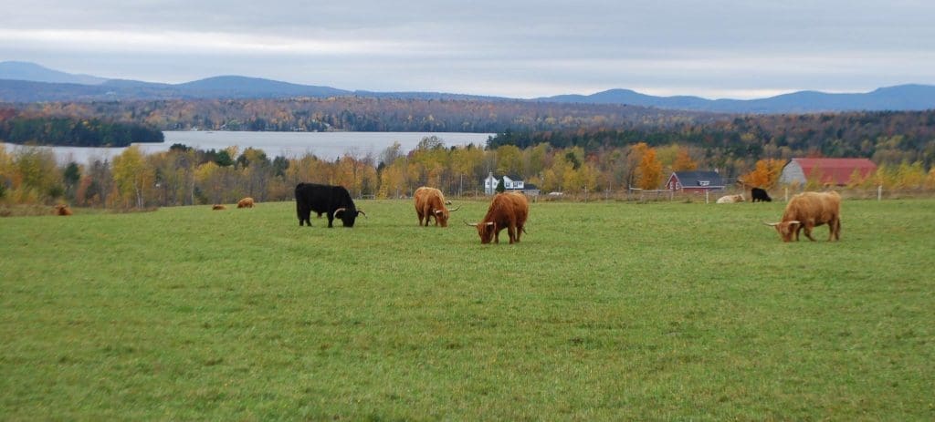 Ferme Au Pied Levé
