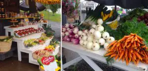 Ferme Guillaume Létourneau