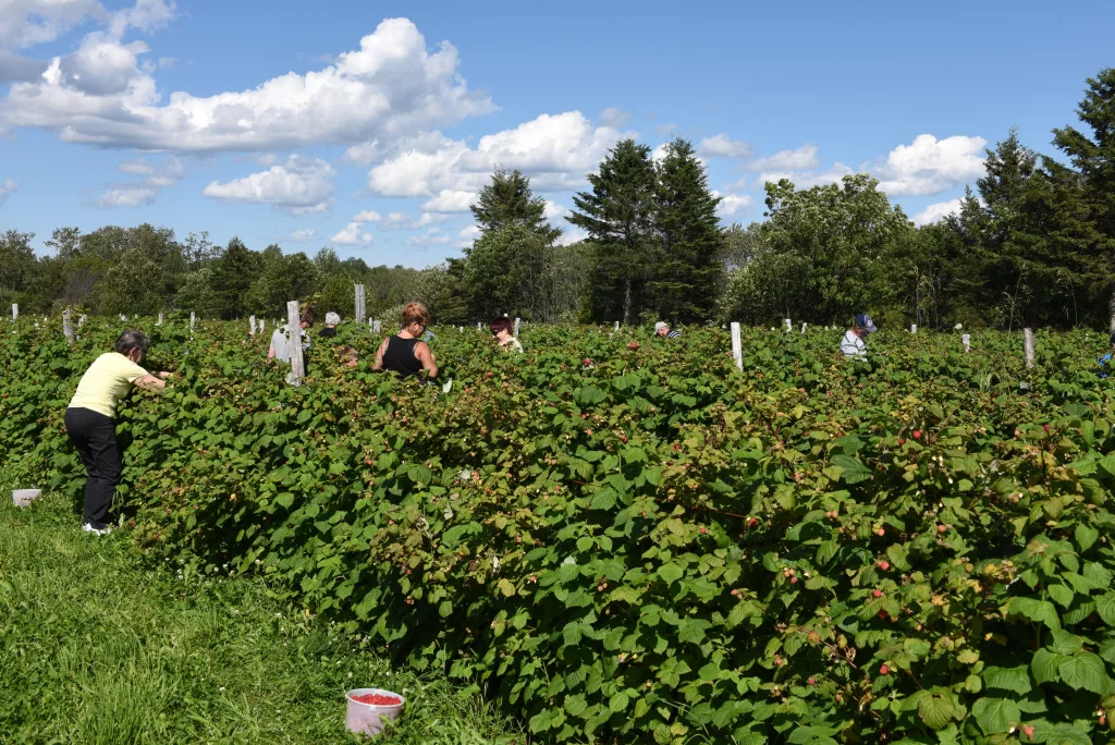 La Vallée de la Framboise