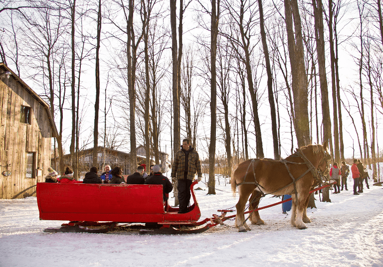 P’tite Cabane d’la Côte - Laurentides