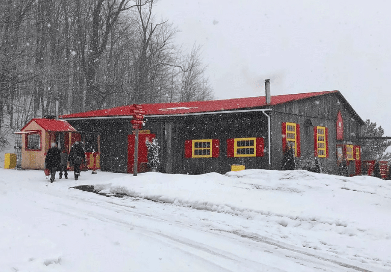 Labonté de la pomme - Laurentides