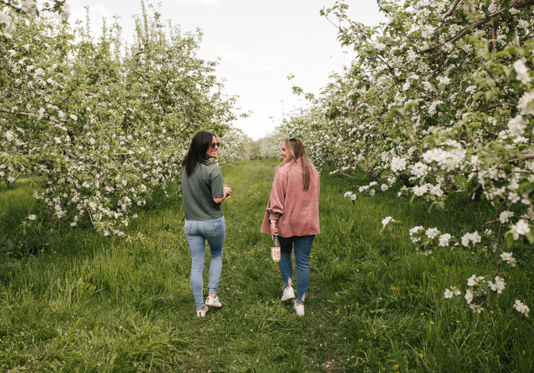 CIDRE MOUSSEUX DANS LE CHAMP 2_Domaine Lafrance_LIBRE