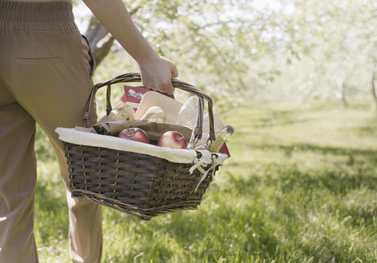 PIQUE-NIQUE ÉPICURIEN AU VERGER _Labonté de la pomme_LIBRE