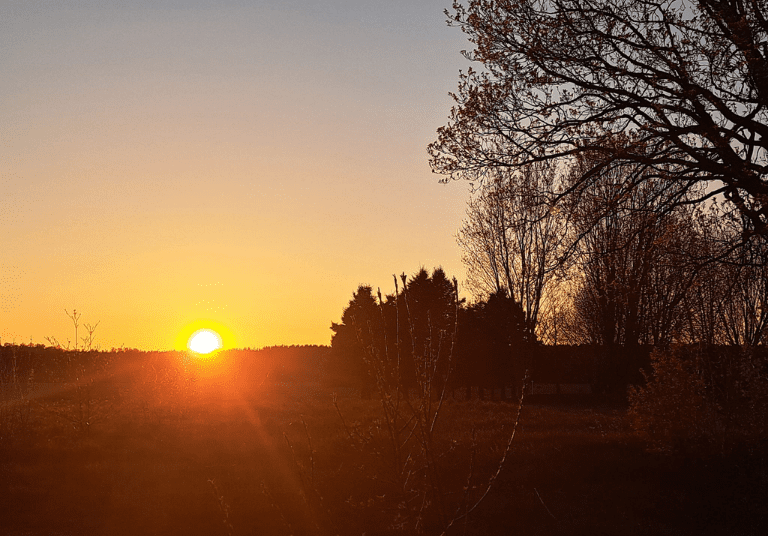 La poutine "produit vedette" de la ferme Les Couleurs de la terre