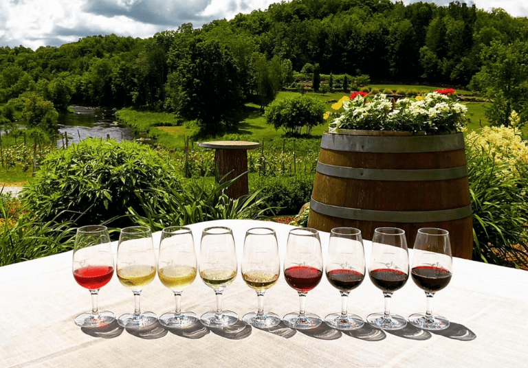 Vignoble-Coteau-des-Artisans