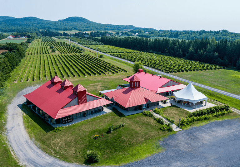Vignoble-Domaine-de-Lavoie
