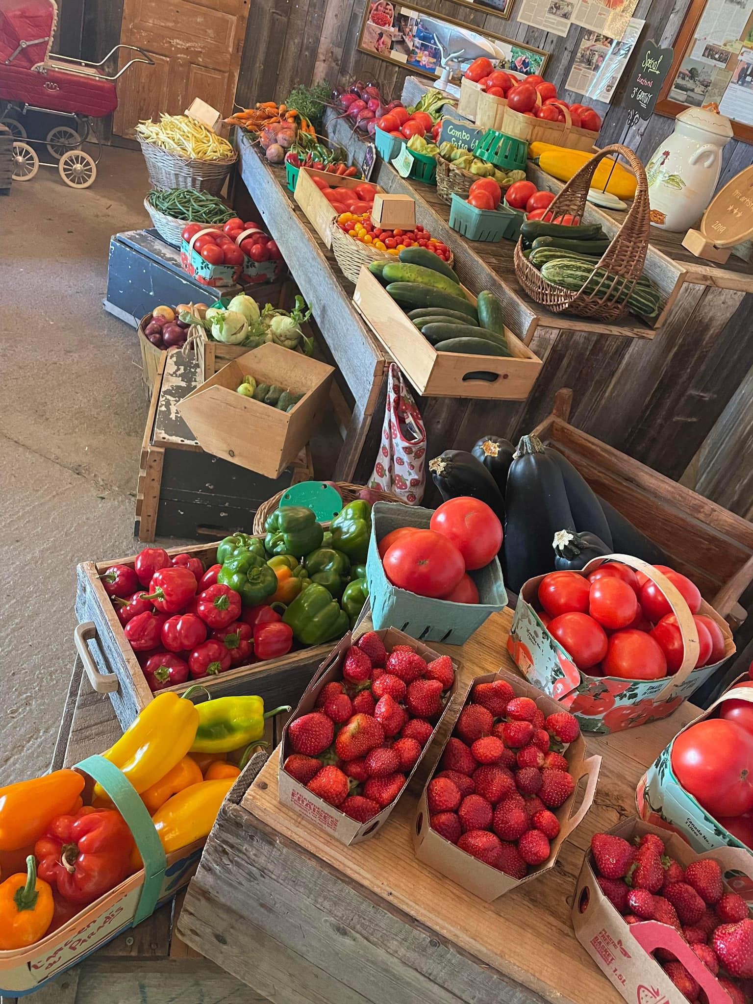 Autocueillette à la ferme / panier de légumes frais