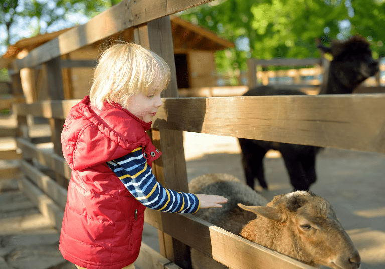 6 tendances culinaires en tourisme gourmand _Dormir à la ferme