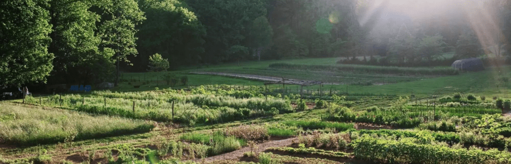 Les bonnes pratiques en agrotourisme