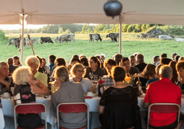 Festin dans le Champ