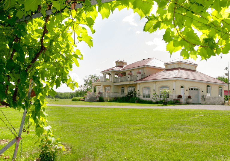 Vignoble Cortellino