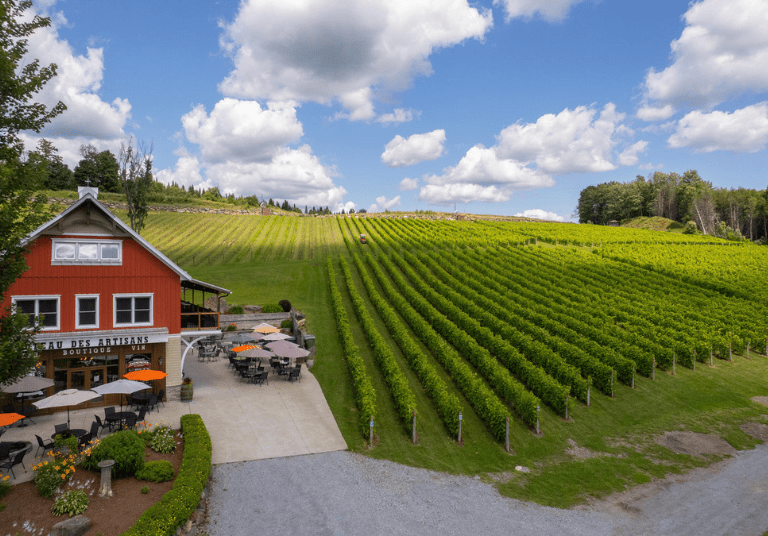 Vignoble Coteau des Artisans