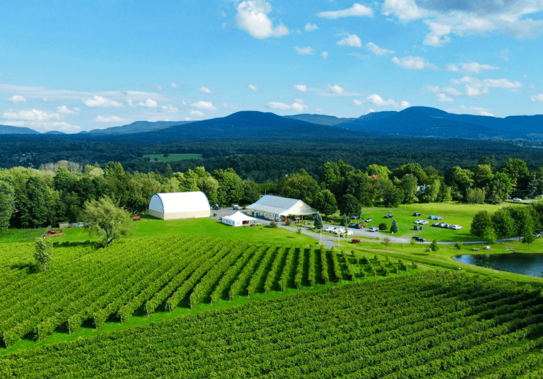 Vignoble Domaine Bresee