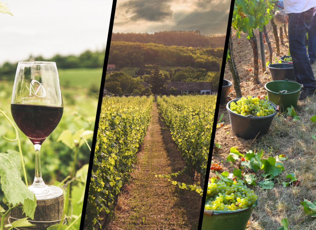 Comment accélérer votre forfaitisation auprès des clientèles touristiques?