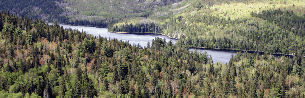 Mauricie