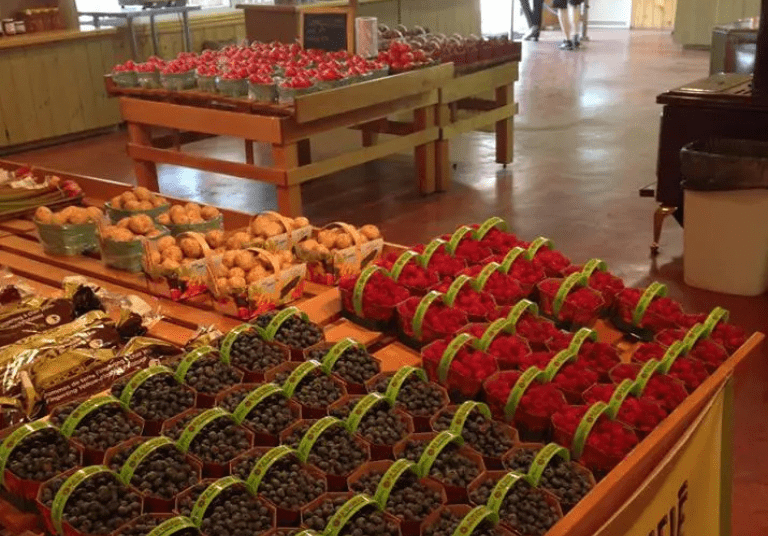 Polyculture Plante