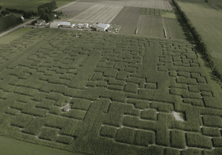 ferme Guy Rivest (1)