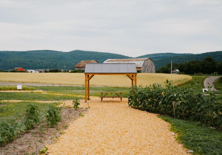 Ferme TournevenT (6)