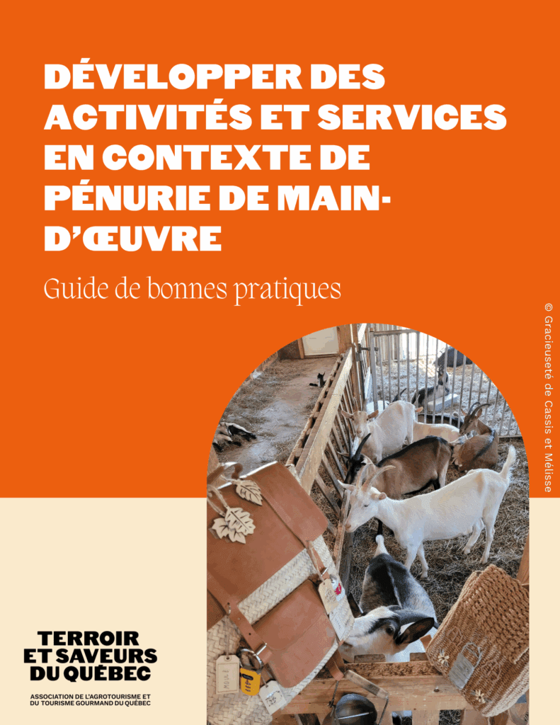 Guide de bonnes pratiques_Développer activités et services en contexte de pénurie de main-d'oeuvre
