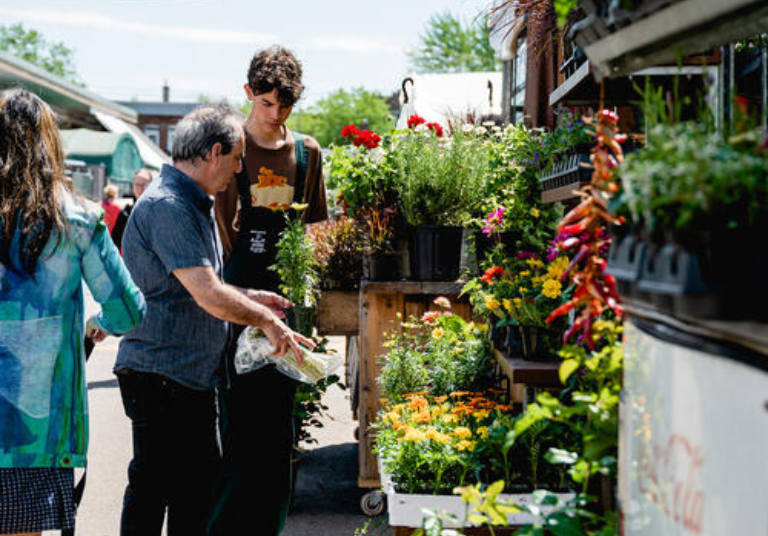 Marchés publics de Montréal
