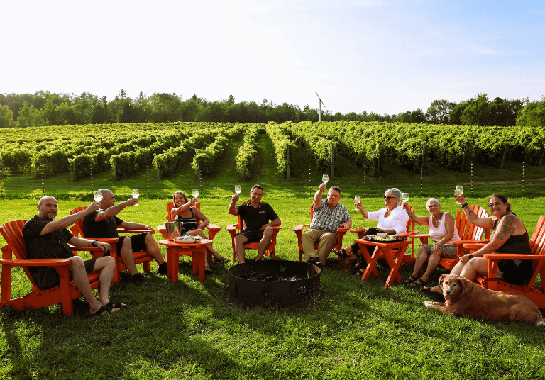 Vignoble Domaine Bresee (1)