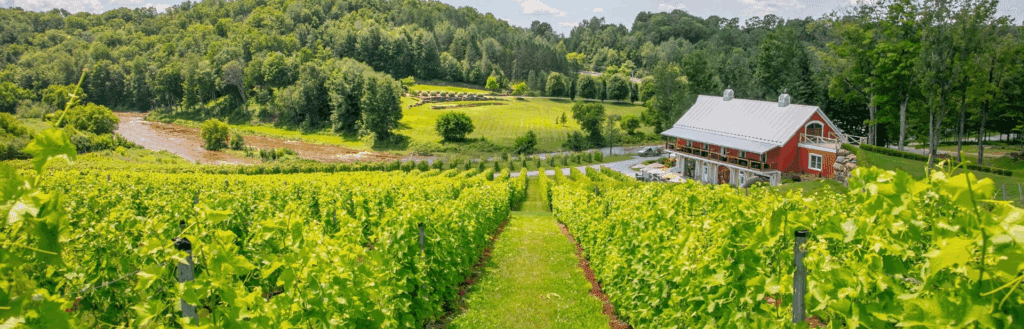 9 événements gourmands et festifs à ne pas manquer cet été au Québec