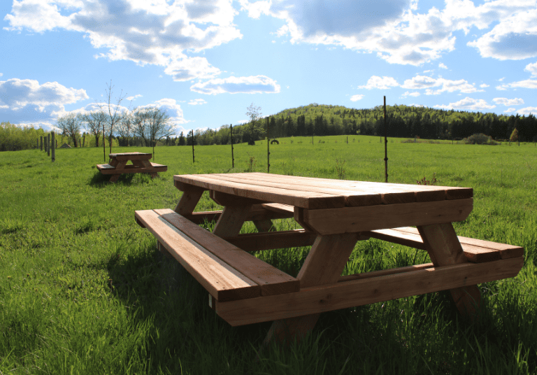 Ferme Ambrosia (3)