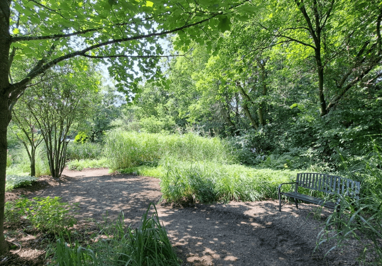 Les Jardins des 5 Sens (3)