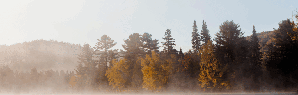 Nouveautés gourmandes 2025 dans les Laurentides et en Outaouais