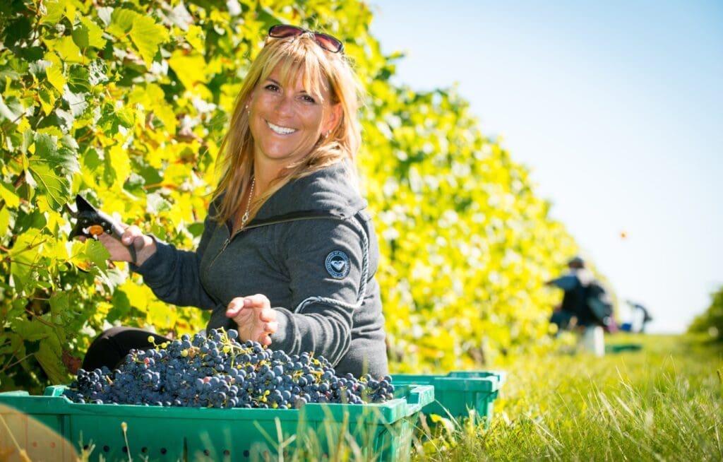 Vignoble Rivière-du-Chêne