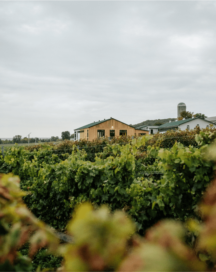 Vignoble La Cantina - Nouveautés Outaouais et Laurentides