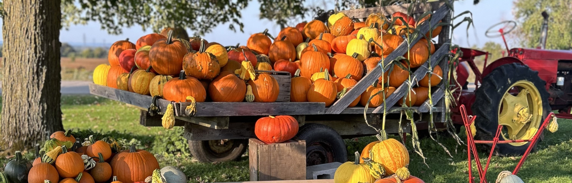 23 activités pour croquer l’automne à pleines dents au Québec