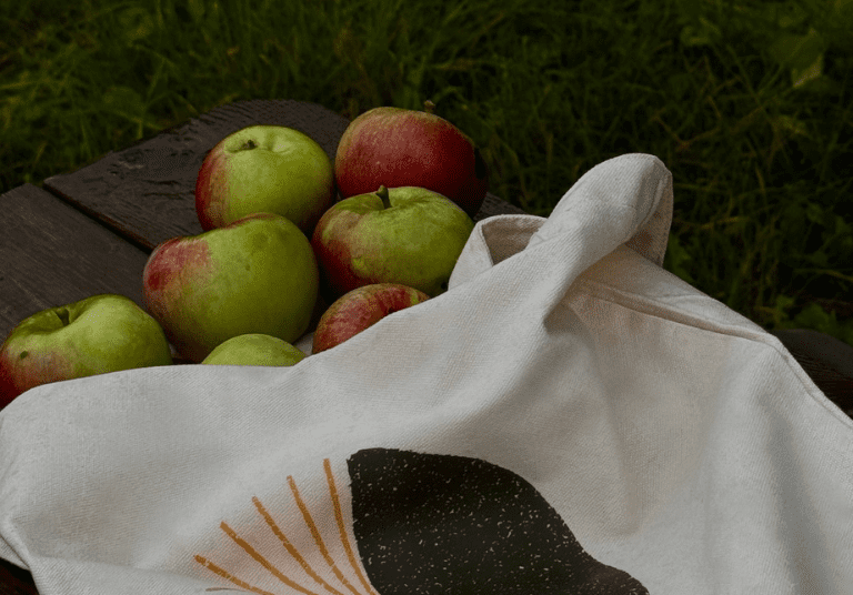 Équinoxe ferme cidricole (1)