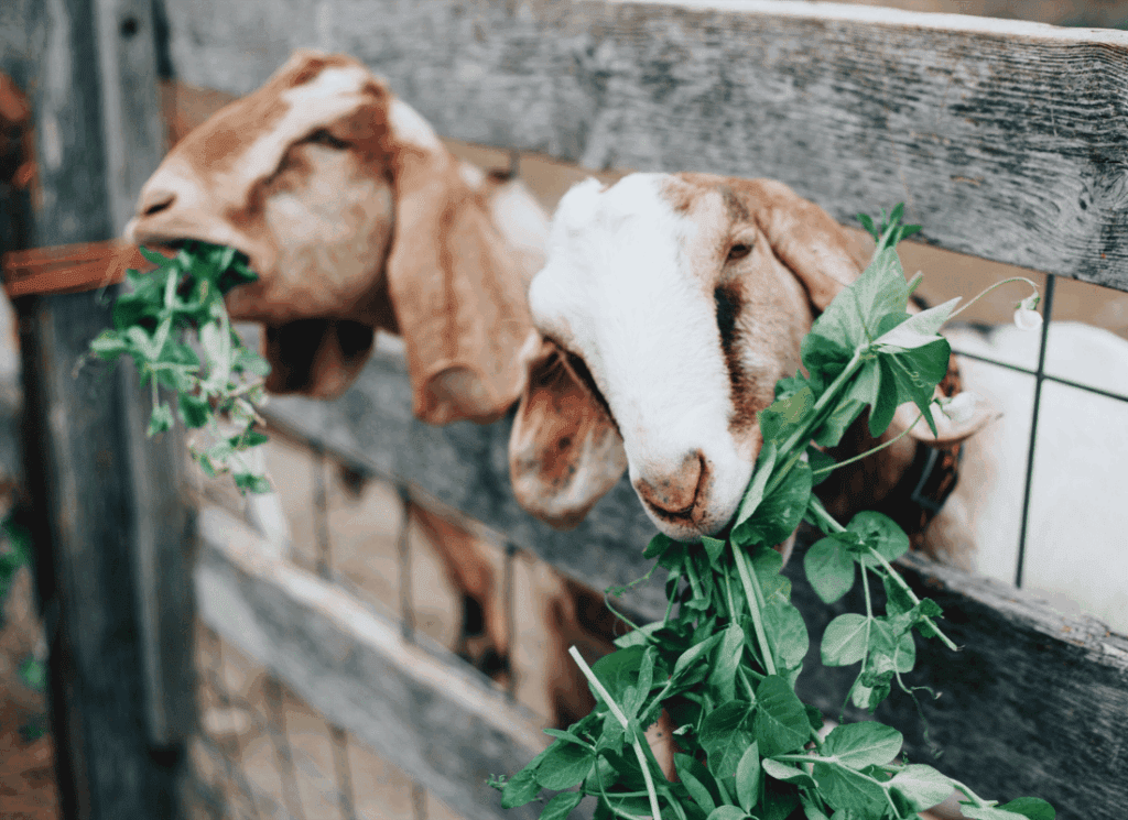 Adhésion partenaire