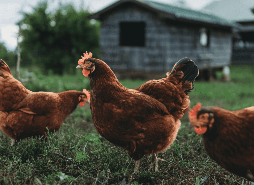 Adhésion entreprise