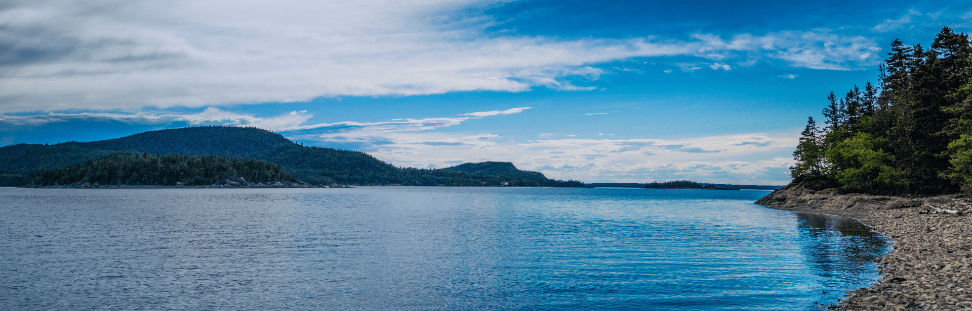Nouveautés gourmandes dans le Bas-Saint-Laurent et en Chaudière-Appalaches
