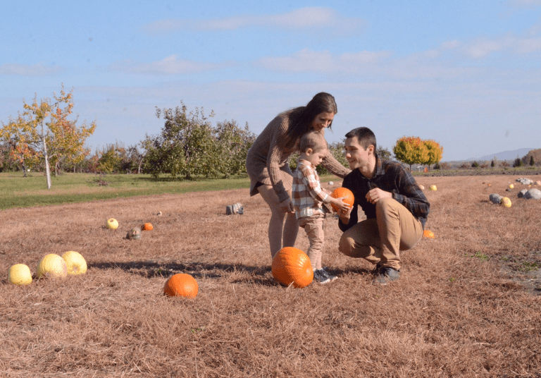 Verger Champêtre (1)