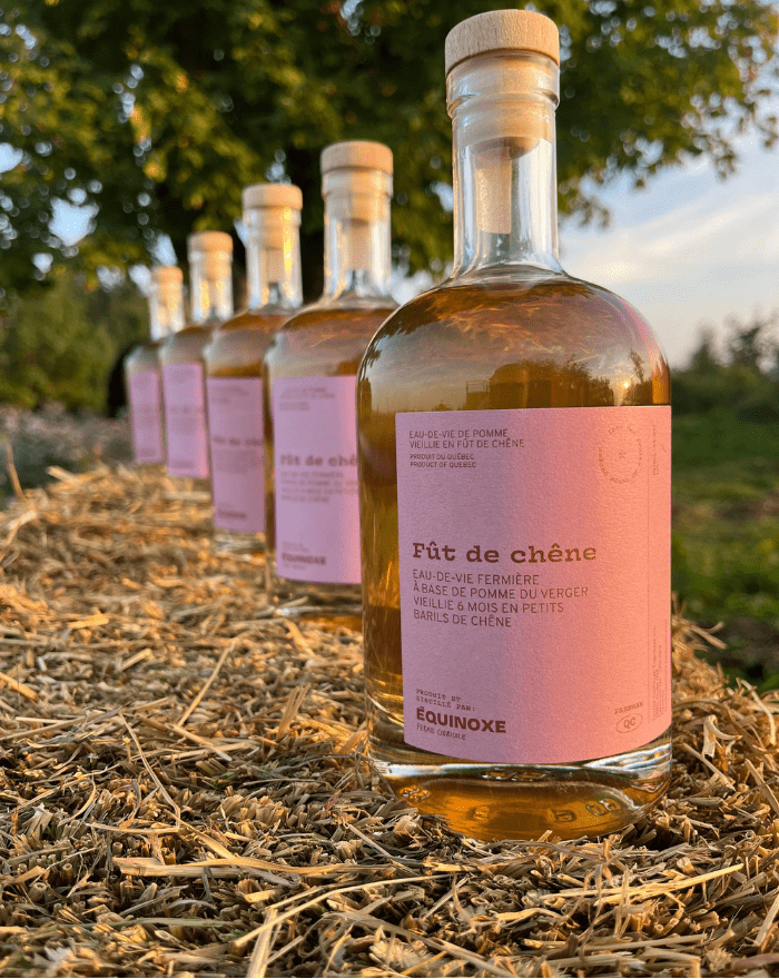 Equinoxe ferme cidricole - Recette 1 - Moût de pommes épicé au brandy 