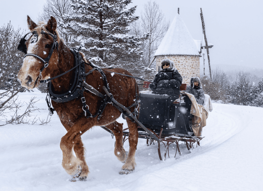 Forfait Féérie de Noël