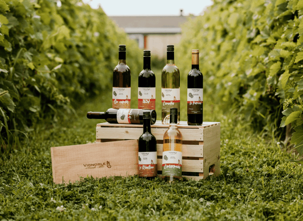 Sélection de vins locaux