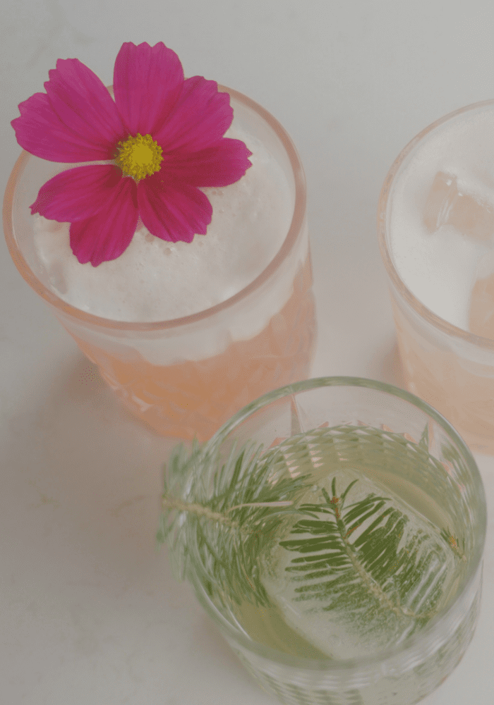 Quoi boire pour le temps des Fêtes? 8 cocktails, mocktails et boissons festives à essayer - Les Jardins des 5 Sens