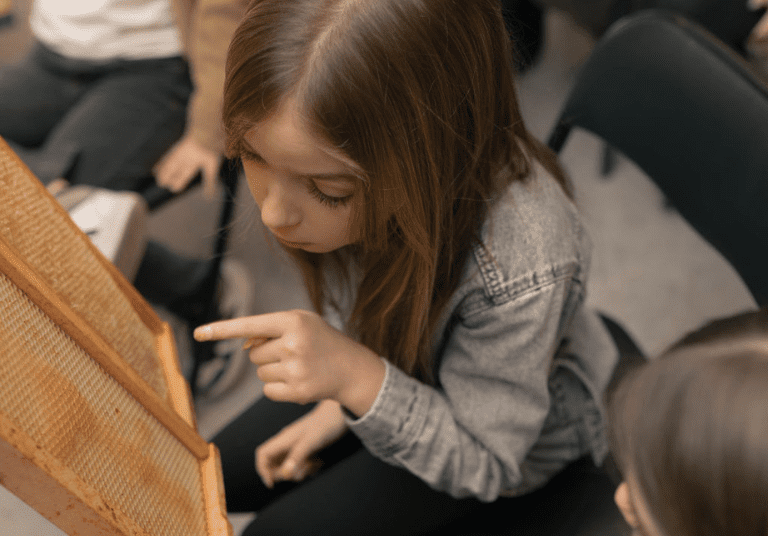 Atelier sur les abeilles avec Un goût de miel