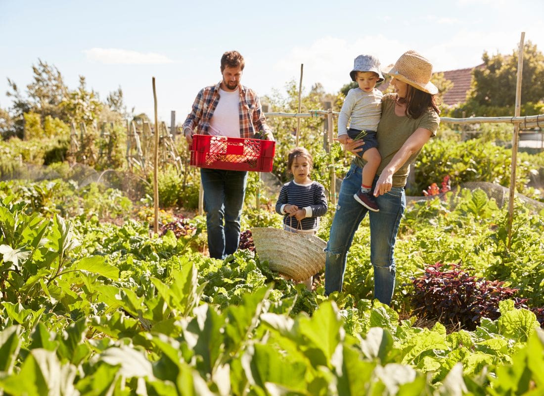 Retombées socio-économiques et touristiques de l'agrotourisme et du tourisme gourmand au Québec 2025