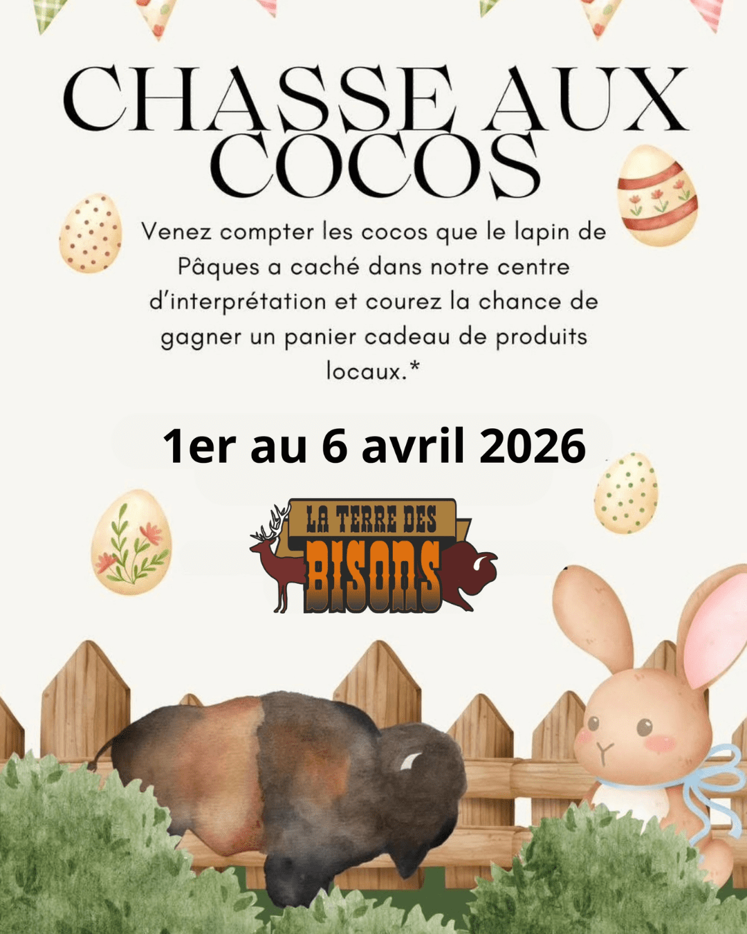 Chasse aux cocos, la Terre des bisons
